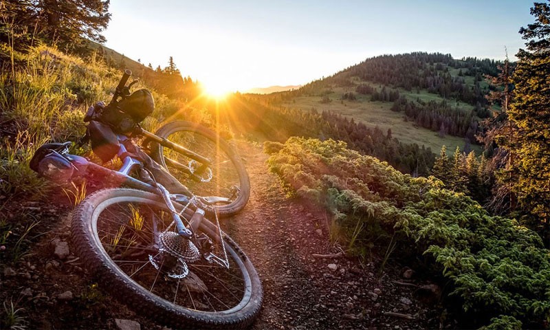 ut-ipsa-assumenda-et-numquam-non-voluptatem